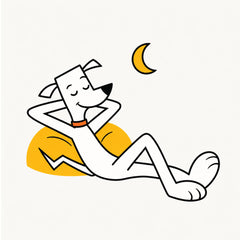 Bend the dog resting