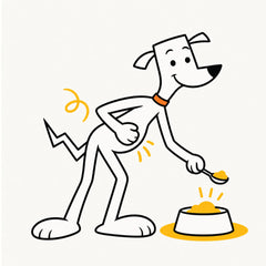 A dog enjoying a gentle dinner