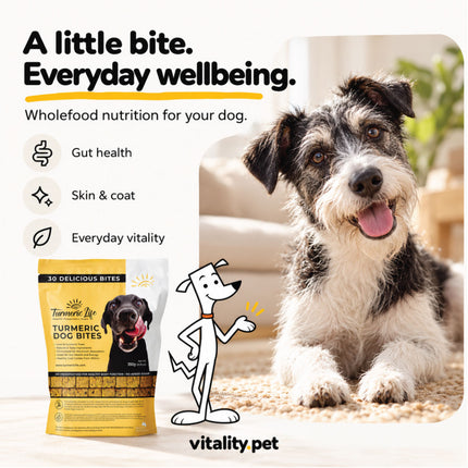 Turmeric Dog Bites with a happy dog: a little bite, everyday wellbeing