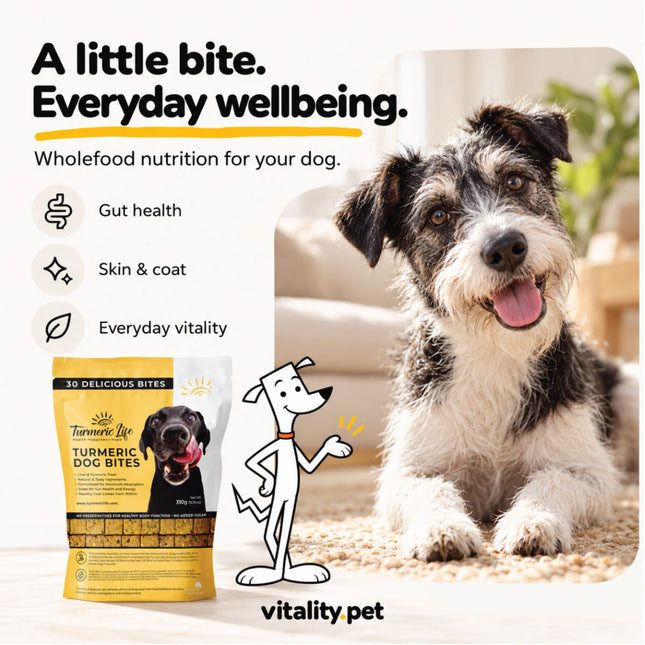 Turmeric Dog Bites with a happy dog: a little bite, everyday wellbeing
