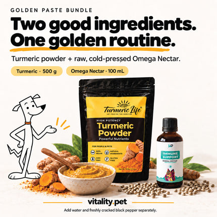 The two Golden Paste ingredients: high-curcumin turmeric powder and cold-pressed omega oil