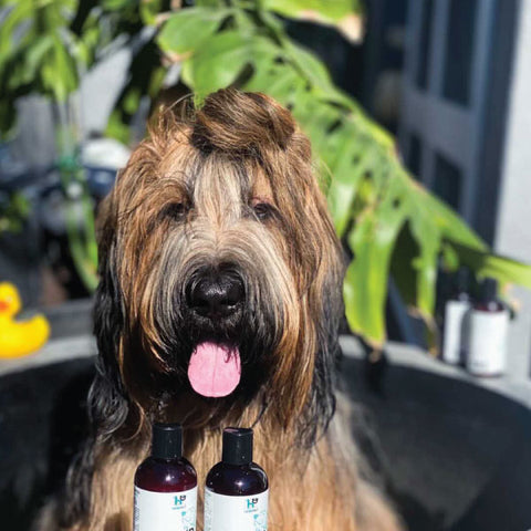 A Vitality.pet customer's pet