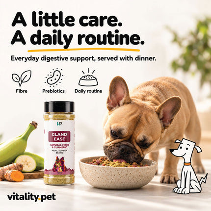 Gland Ease daily fibre support for dogs