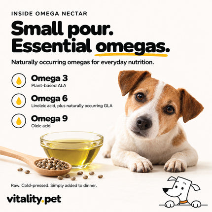 Pouring a small amount of Omega Nectar omega oil over dog food