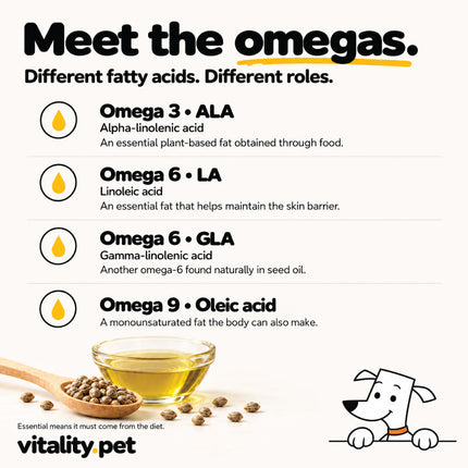 Omega 3, 6 and 9 plus GLA in Omega Nectar cold-pressed oil for dogs
