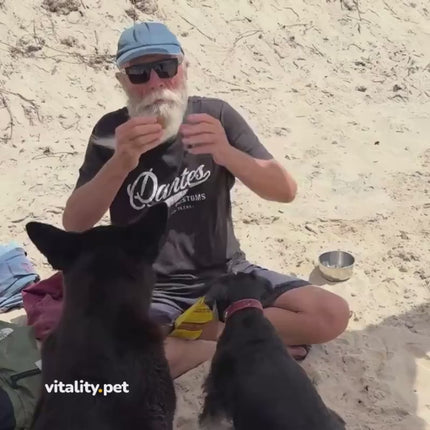 Video: Turmeric Dog Bites by Dr Doug English